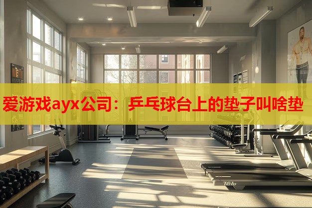 爱游戏ayx公司：乒乓球台上的垫子叫啥垫