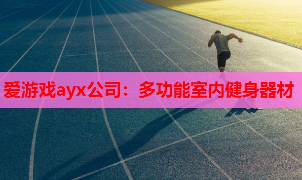 爱游戏ayx公司：多功能室内健身器材