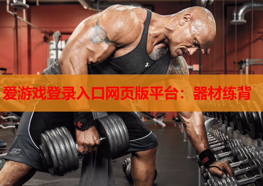爱游戏登录入口网页版平台：器材练背