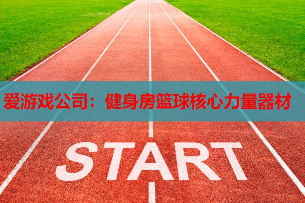 爱游戏公司：健身房篮球核心力量器材