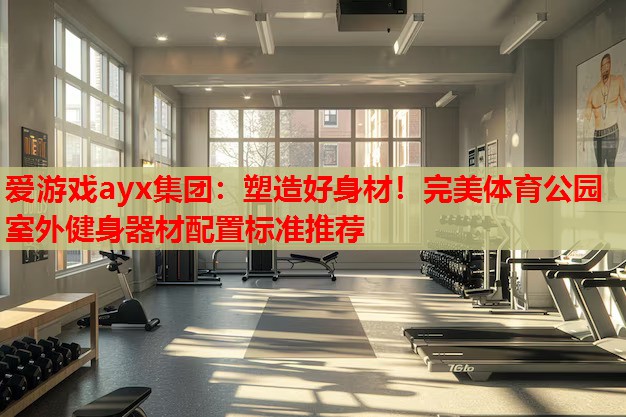 爱游戏ayx集团：塑造好身材！完美体育公园室外健身器材配置标准推荐