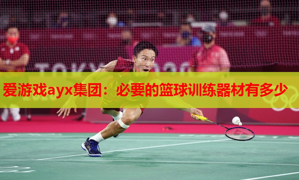 爱游戏ayx集团：必要的篮球训练器材有多少