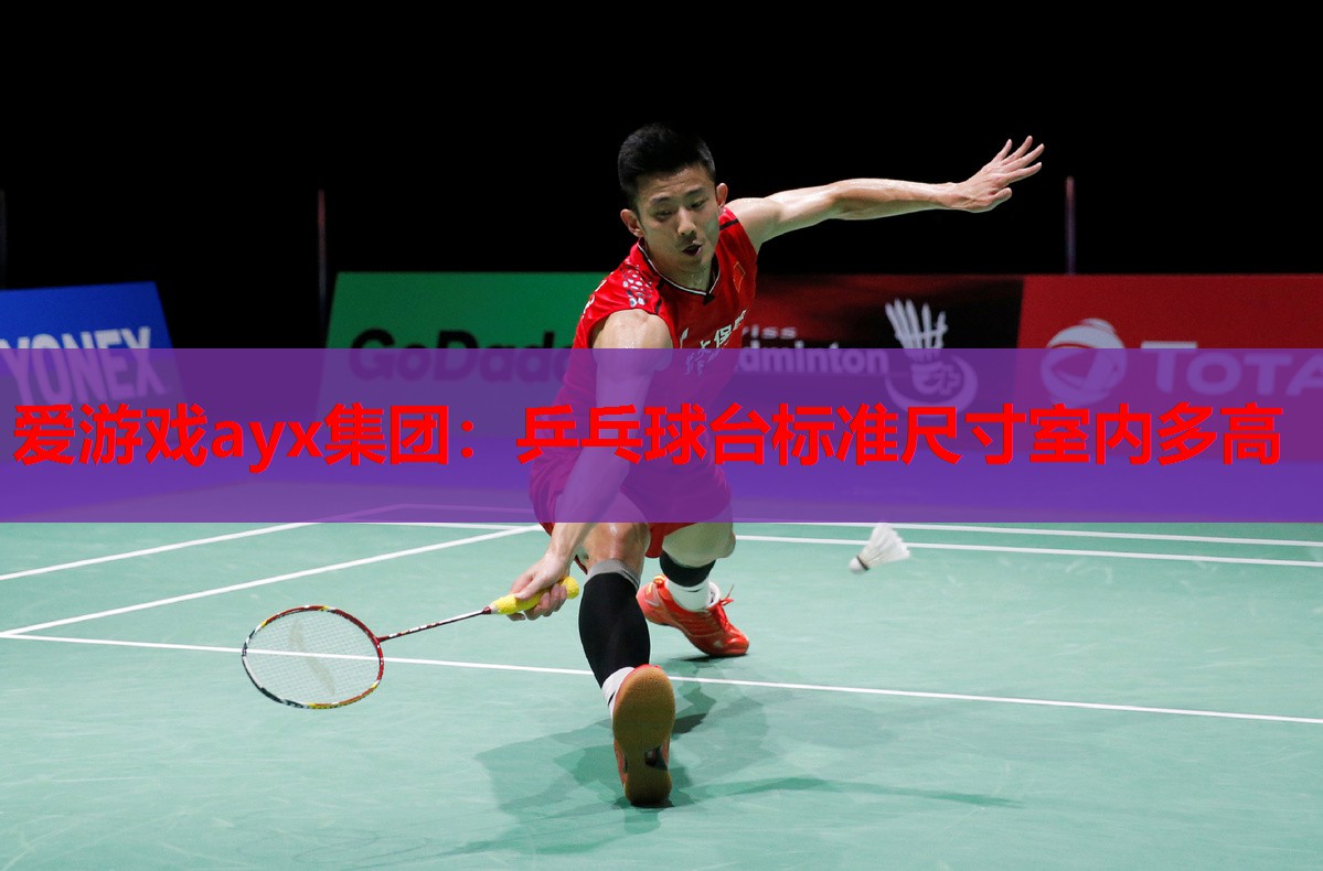 爱游戏ayx集团：乒乓球台标准尺寸室内多高