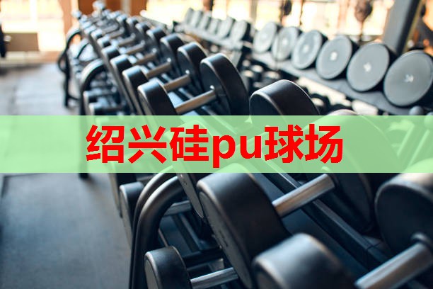 绍兴硅pu球场