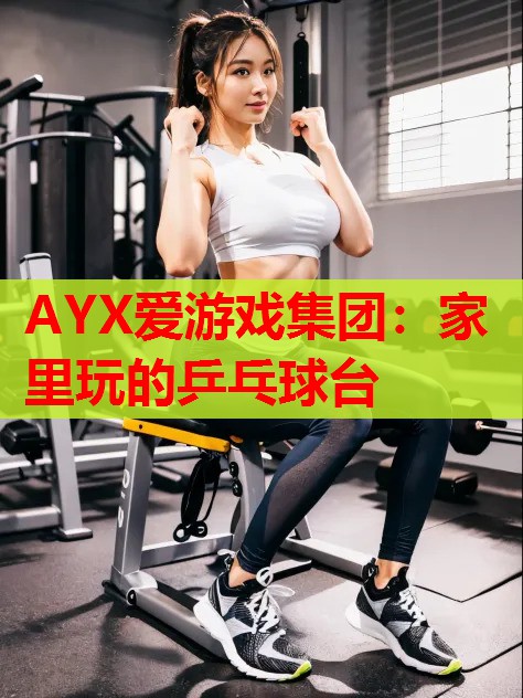 AYX爱游戏集团：家里玩的乒乓球台