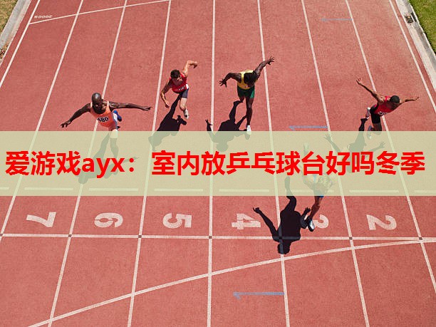 爱游戏ayx：室内放乒乓球台好吗冬季