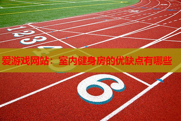 爱游戏网站：室内健身房的优缺点有哪些