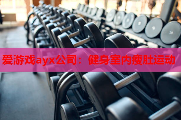 爱游戏ayx公司：健身室内瘦肚运动