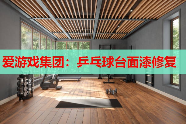 爱游戏集团：乒乓球台面漆修复