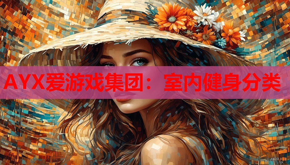 AYX爱游戏集团：室内健身分类