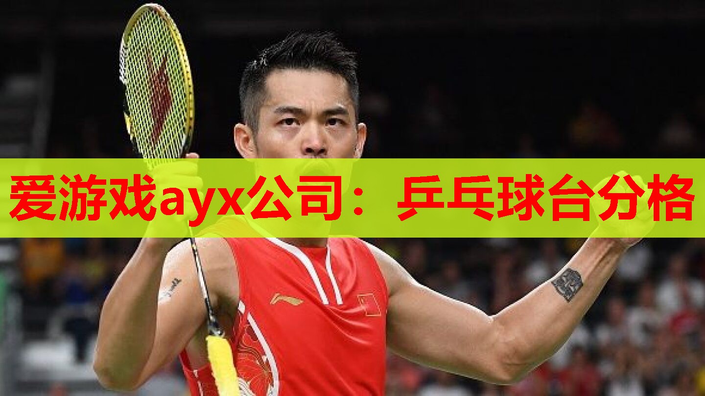 爱游戏ayx公司：乒乓球台分格