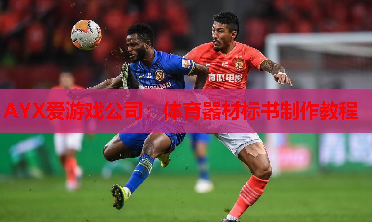 AYX爱游戏公司：体育器材标书制作教程