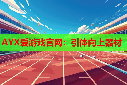 AYX爱游戏官网：引体向上器材
