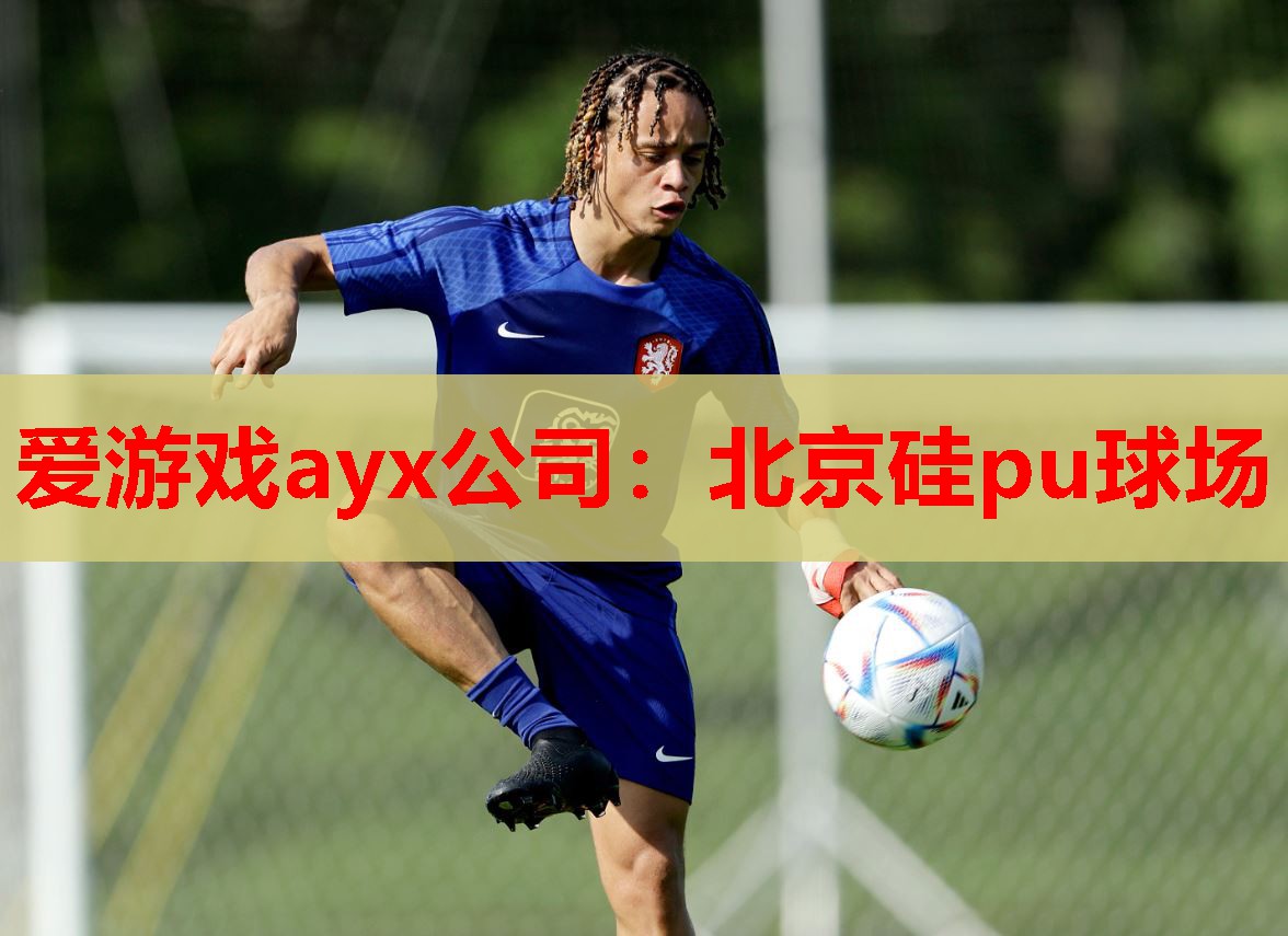 爱游戏ayx公司：北京硅pu球场