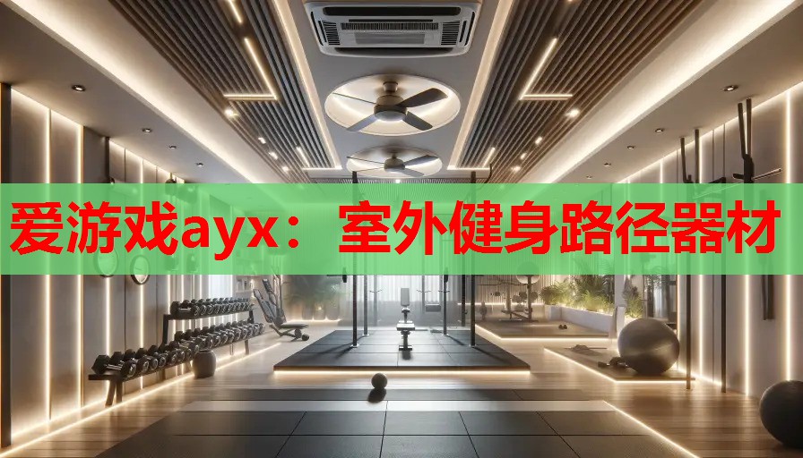 爱游戏ayx：室外健身路径器材