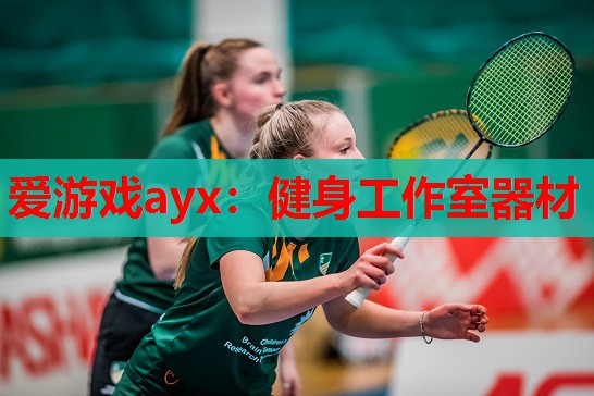 爱游戏ayx：健身工作室器材