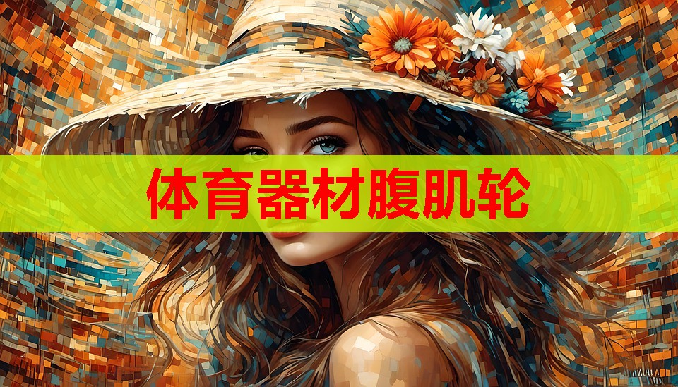 体育器材腹肌轮
