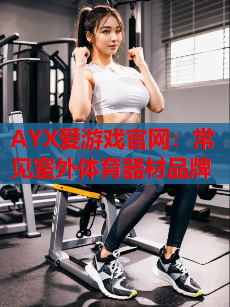 AYX爱游戏官网：常见室外体育器材品牌