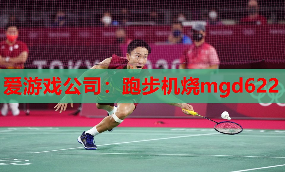 爱游戏公司：跑步机烧mgd622