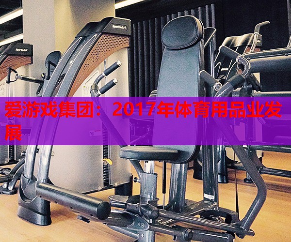 爱游戏集团：2017年体育用品业发展