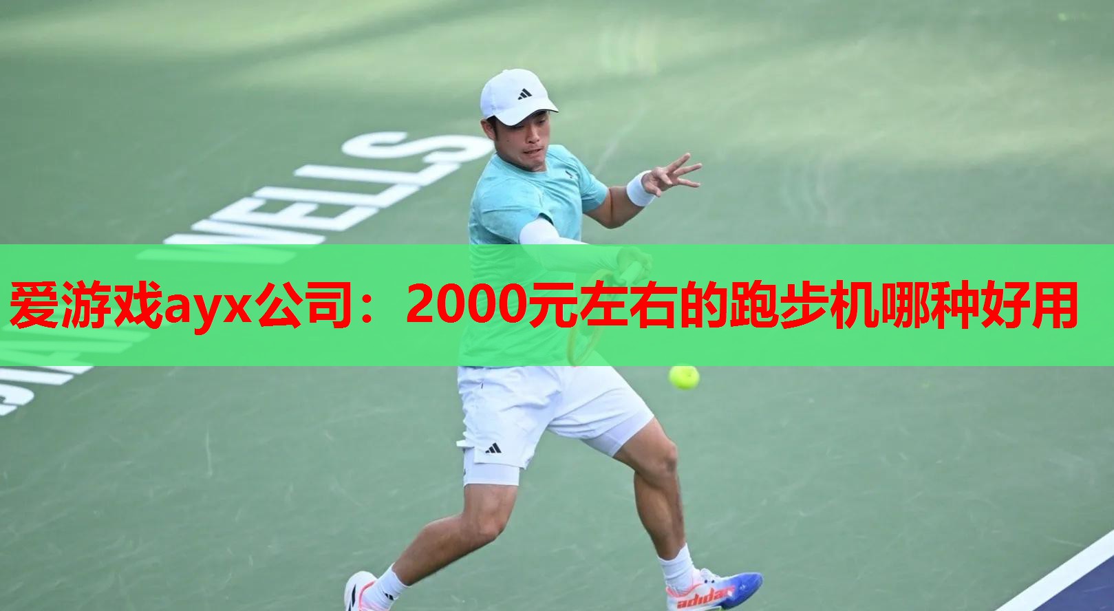 爱游戏ayx公司：2000元左右的跑步机哪种好用