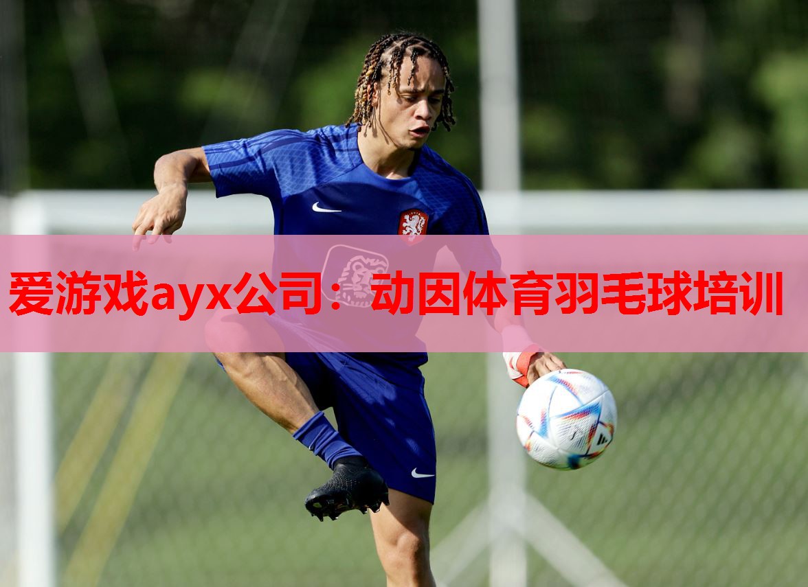 爱游戏ayx公司：动因体育羽毛球培训