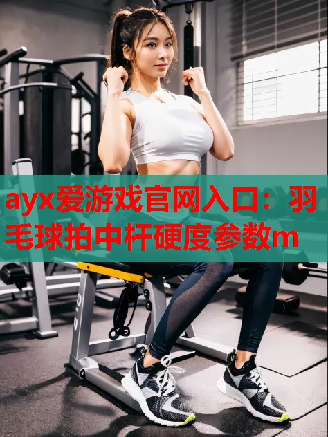 ayx爱游戏官网入口：羽毛球拍中杆硬度参数m