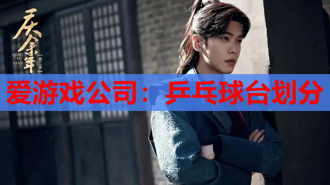 爱游戏公司：乒乓球台划分