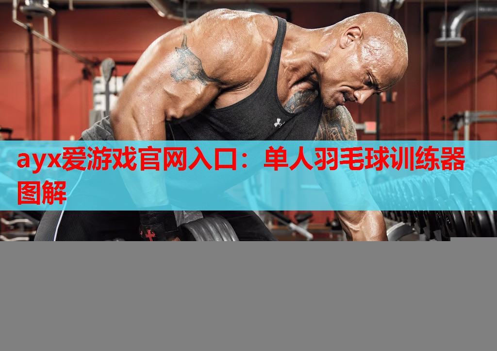 ayx爱游戏官网入口：单人羽毛球训练器图解