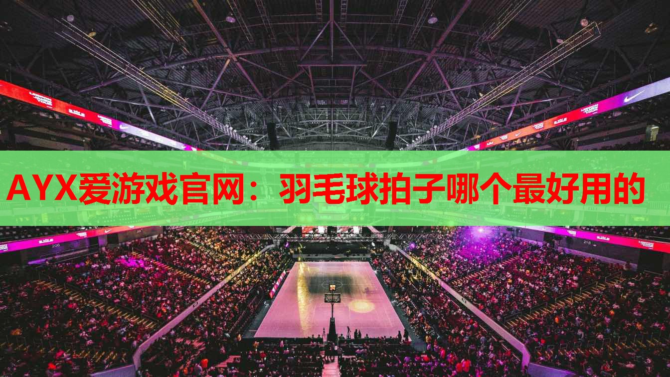AYX爱游戏官网：羽毛球拍子哪个最好用的