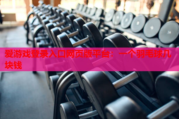 爱游戏登录入口网页版平台：一个羽毛球几块钱
