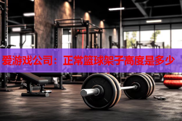 爱游戏公司：正常篮球架子高度是多少