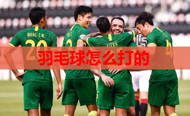 羽毛球怎么打的