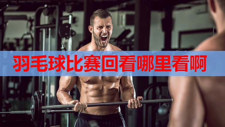 羽毛球比赛回看哪里看啊