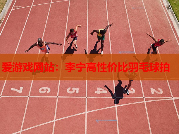 爱游戏网站：李宁高性价比羽毛球拍