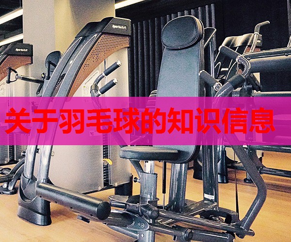 关于羽毛球的知识信息