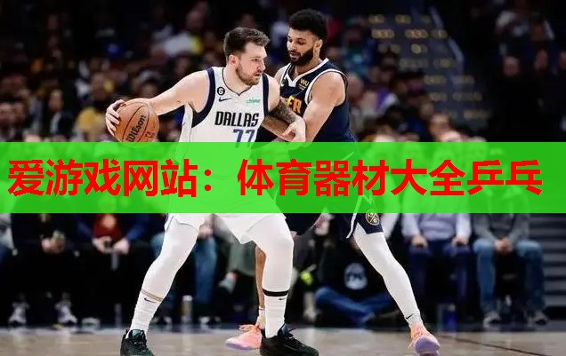 爱游戏网站：体育器材大全乒乓