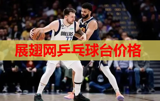 展翅网乒乓球台价格