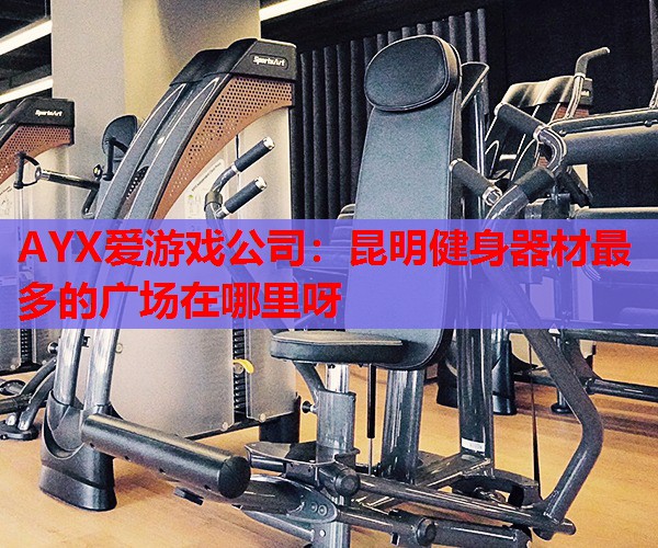 AYX爱游戏公司：昆明健身器材最多的广场在哪里呀