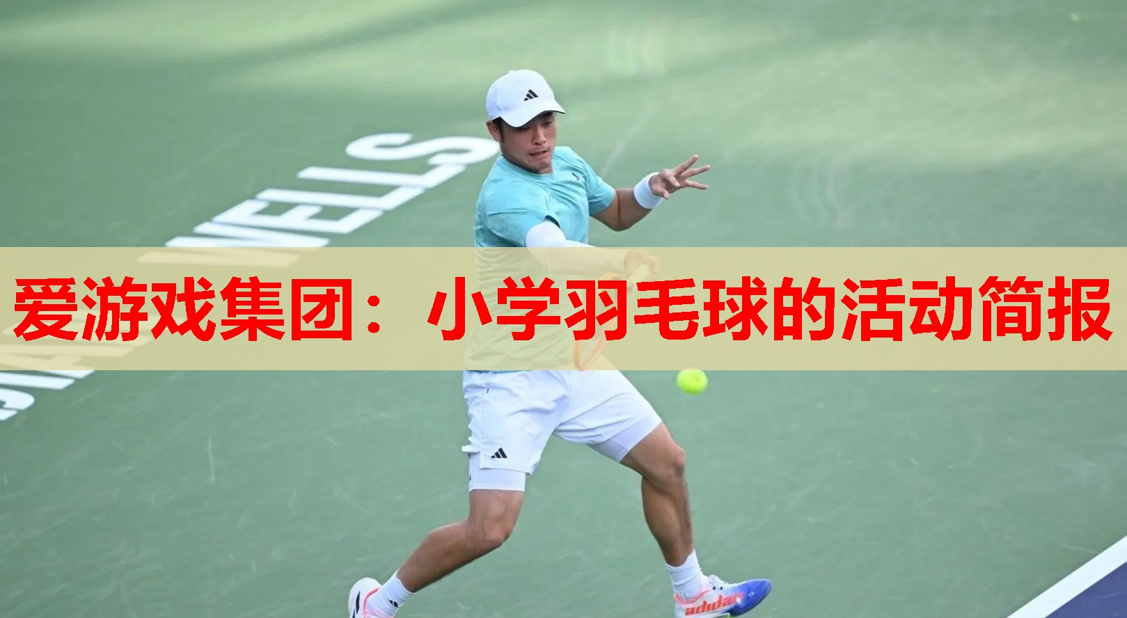 爱游戏集团：小学羽毛球的活动简报