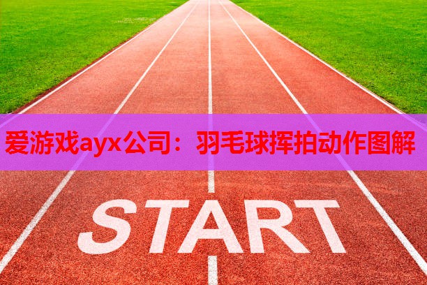 爱游戏ayx公司：羽毛球挥拍动作图解