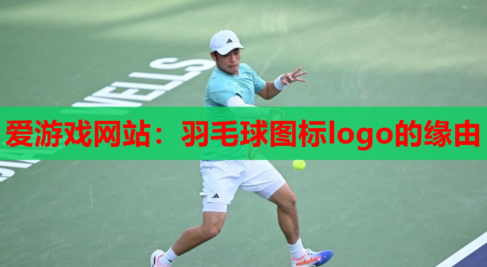爱游戏网站：羽毛球图标logo的缘由
