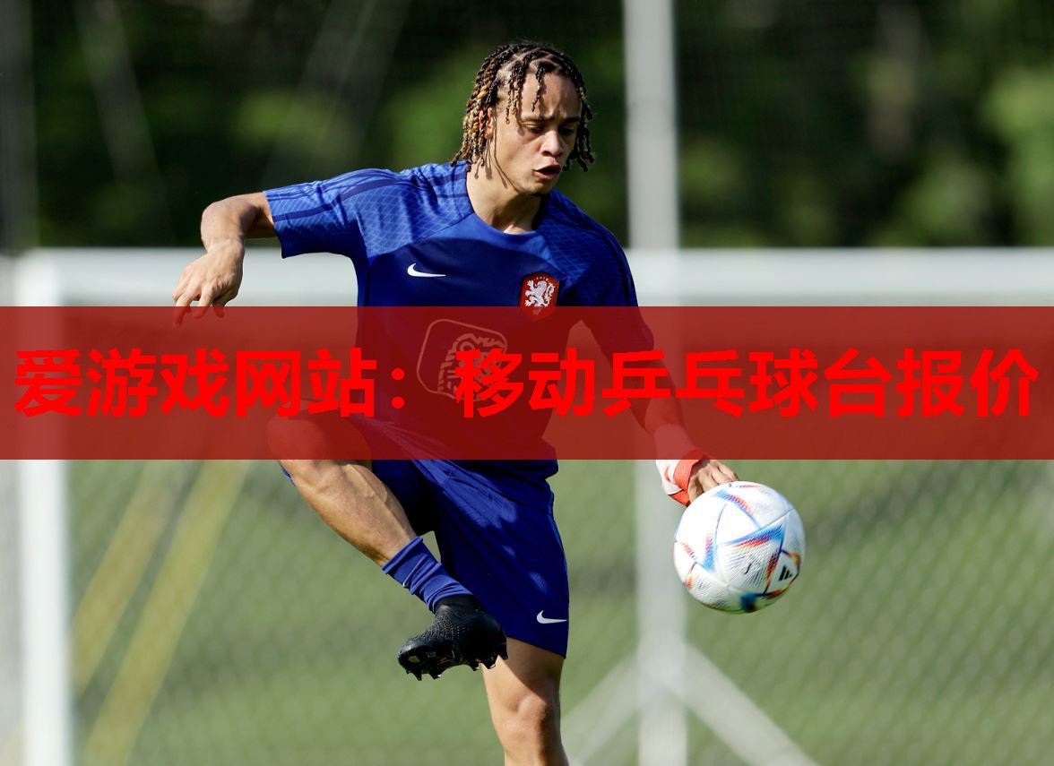 爱游戏网站：移动乒乓球台报价