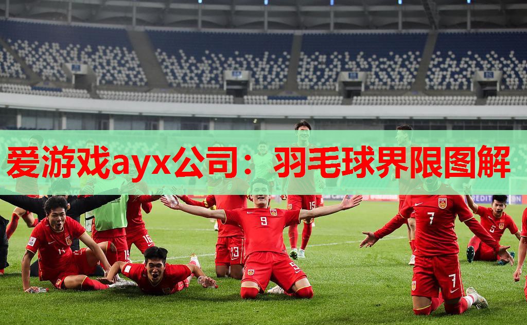 爱游戏ayx公司：羽毛球界限图解