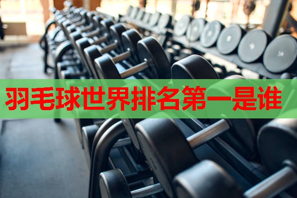 羽毛球世界排名第一是谁