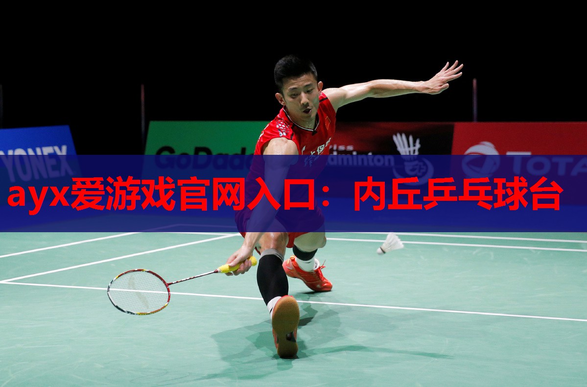 内丘乒乓球台 内丘乒乓球台
