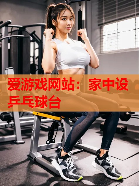 家中设乒乓球台 家中设乒乓球台