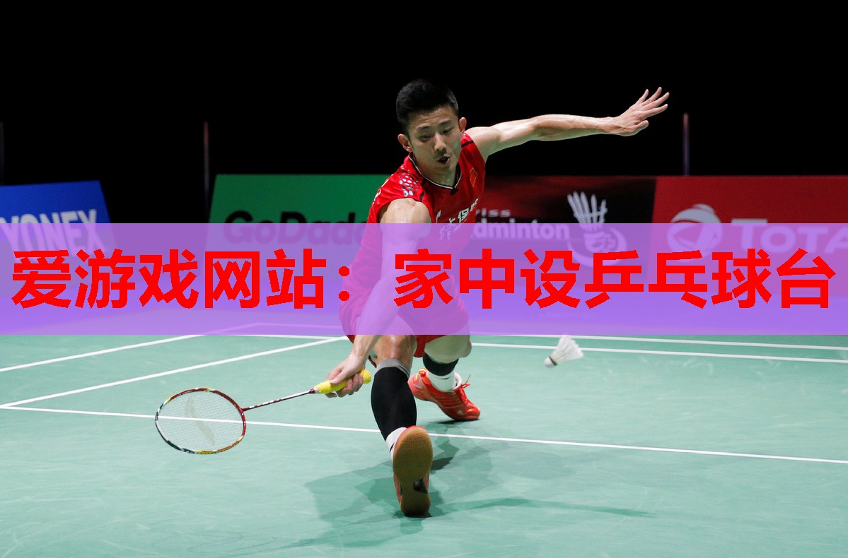 家中设乒乓球台 家中设乒乓球台