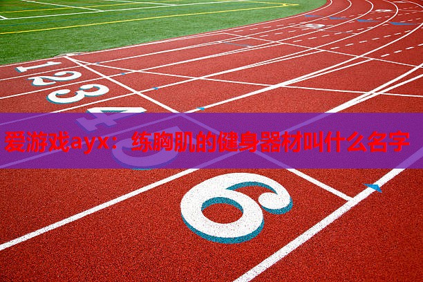 练胸肌的健身器材叫什么名字 练胸肌的健身器材叫什么名字