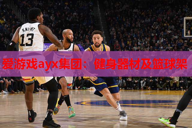 健身器材及篮球架 健身器材及篮球架